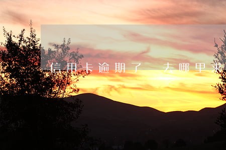 信用卡逾期了 去哪里求助 信用卡逾期了 去哪里求助